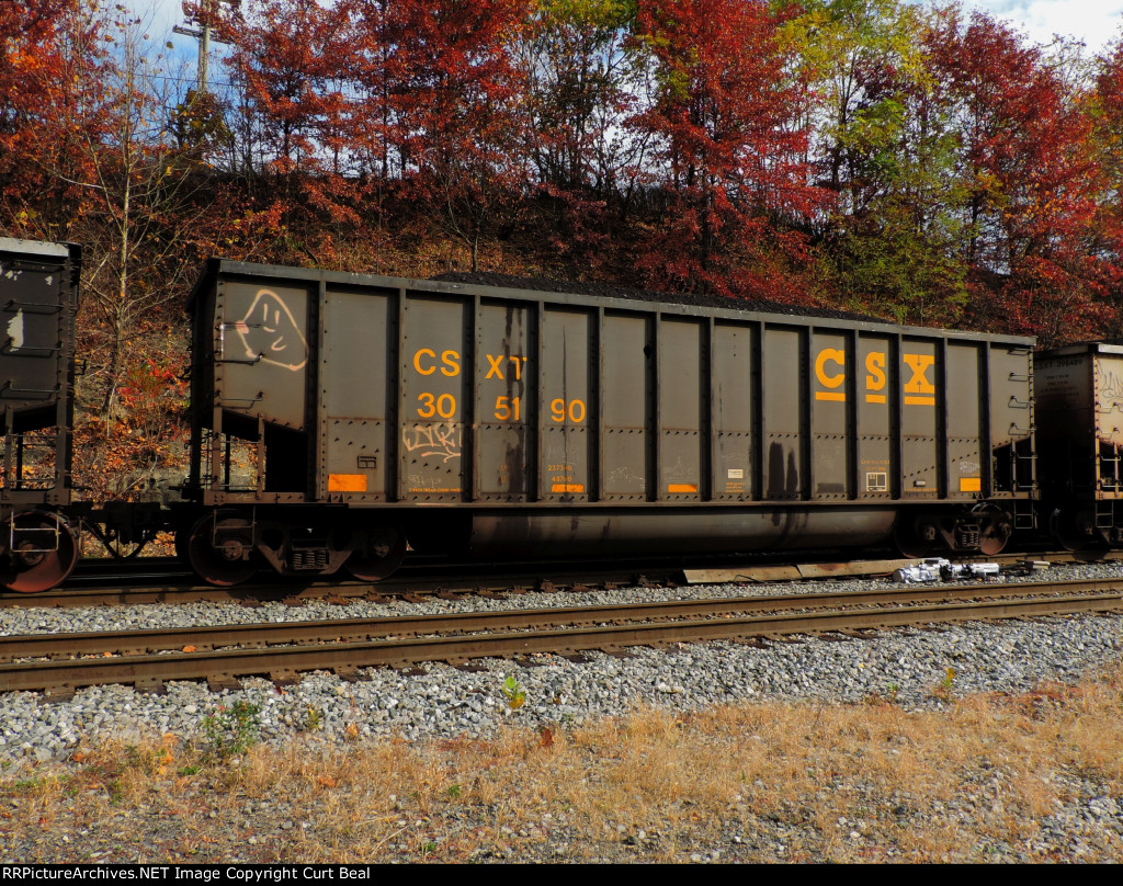 CSX 305190